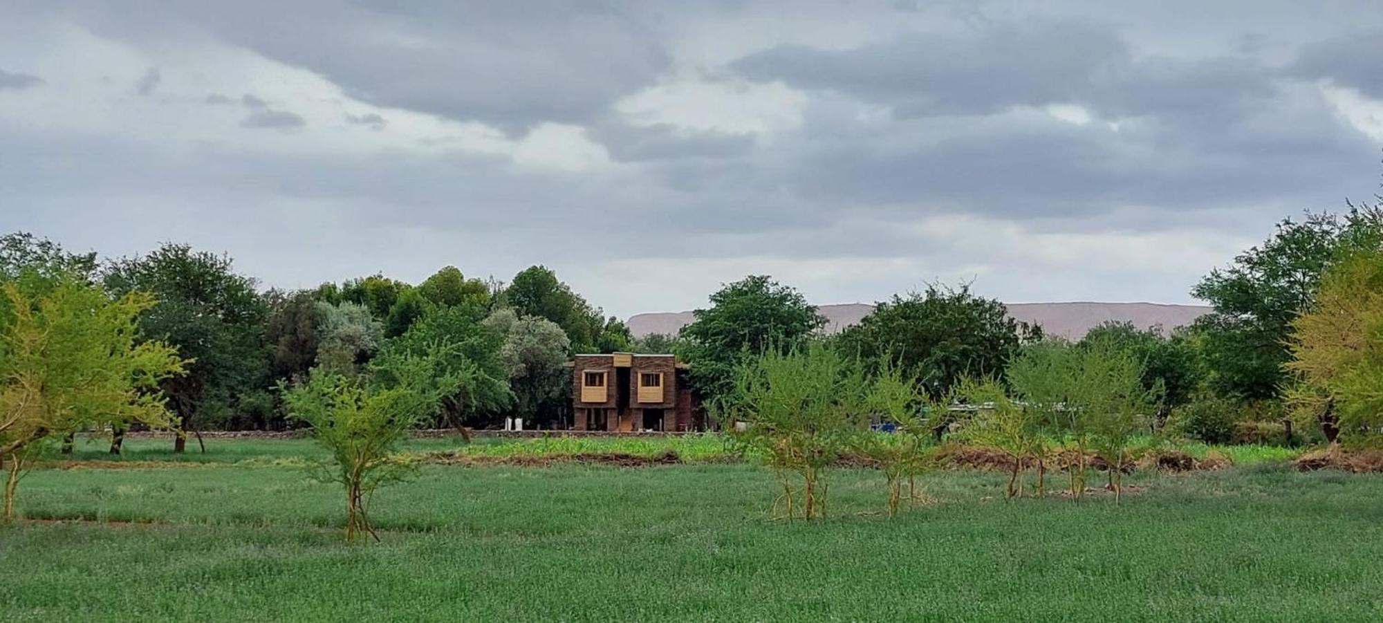 Foresta Atacama Lodge Сан-Педро-де-Атакама Экстерьер фото