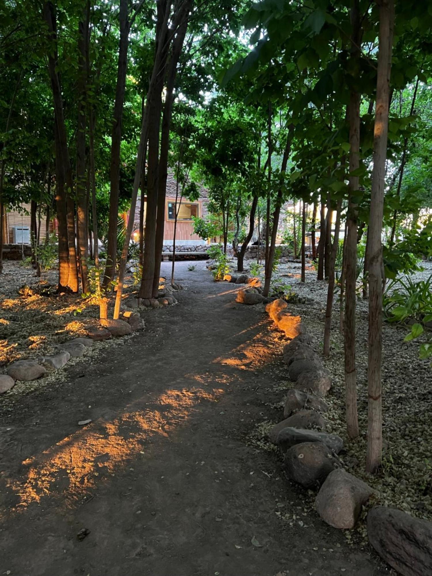 Foresta Atacama Lodge Сан-Педро-де-Атакама Экстерьер фото